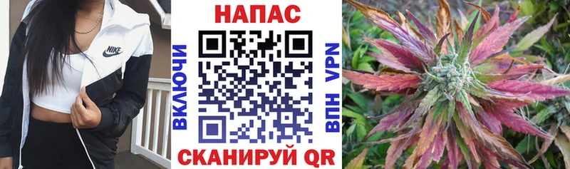 Канабис Ganja  Топки 